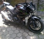 Kawasaki Z250 niked bike 2014