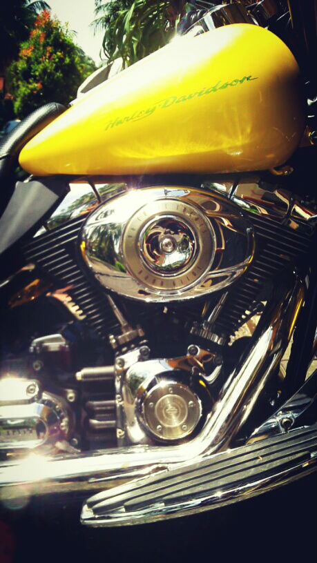 Road Glide yellow3