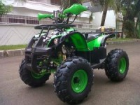 mini atv