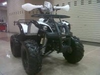 mini atv