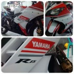 my r15_1