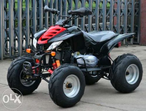 Motor ATV anak 110cc Ring 6