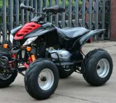 Motor ATV anak 110cc Ring 6