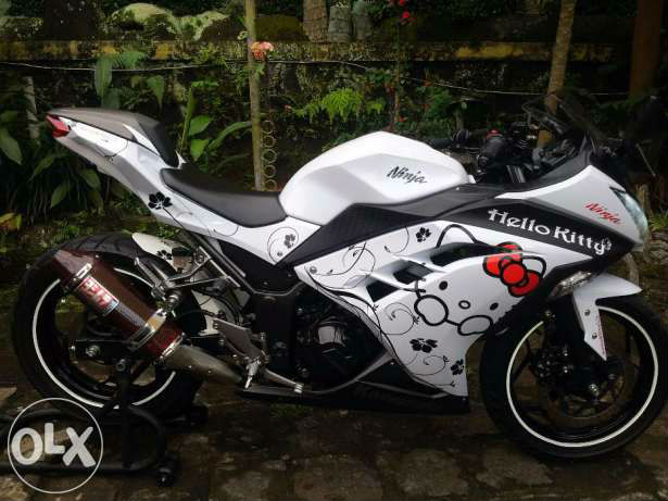 036485000_1429277358-Yamaha_RX_King_2