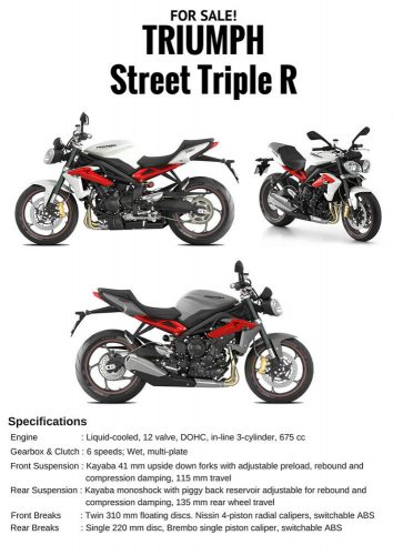 Triumph Street Triple R - Small