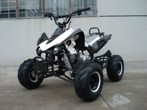 New_kawasaki_style_125cc_atv_of_2011_QWATV_02D_634655919083681689_4