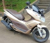 PCX1b