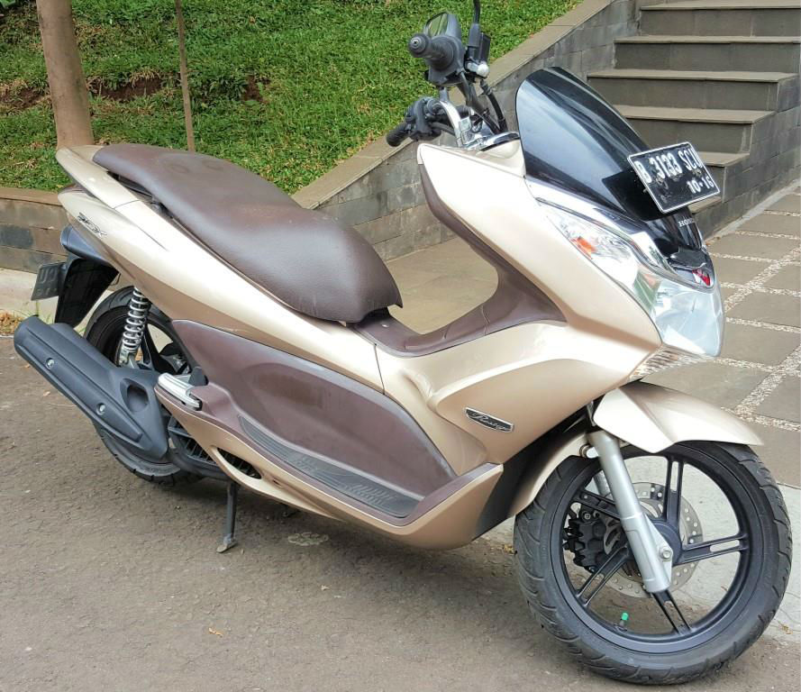 PCX1b