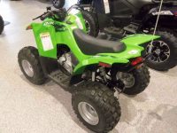 2015-Arctic-Cat-DVX-90-Payson-AZ-253