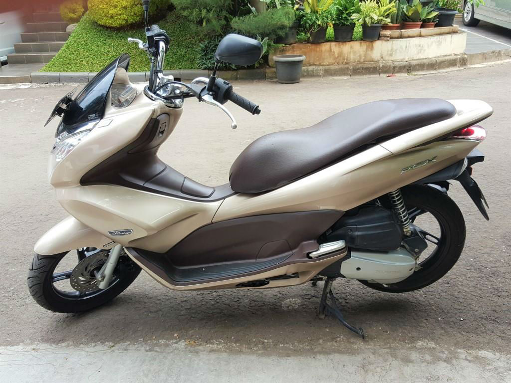 PCX1a