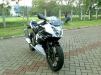 kawasaki_ninja_mono_rr_575348_1452577702