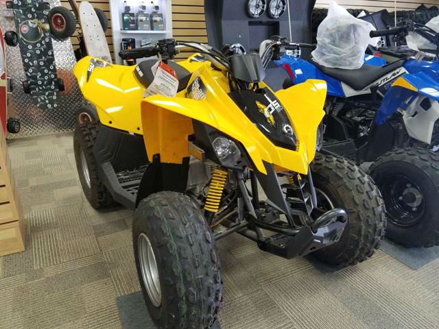 2016 CAN-AM DS 90 3CGA (3)