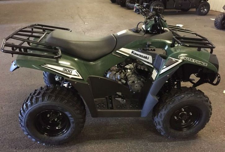 Kawasaki Brute Force 300