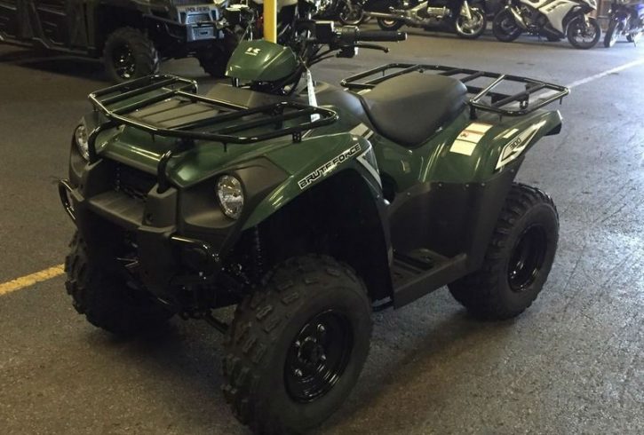 Kawasaki Brute Force 300