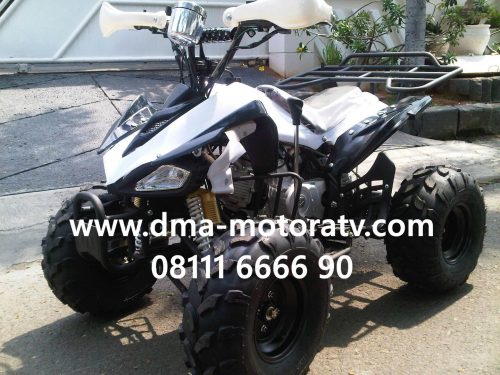 BH ATV 119CC TYPE Q